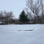 229 Vine Street  Piper City IL 60959