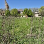 7215 Daybreak Lane  Long Grove IL 60060