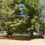 Hieland Road  St. Anne IL 60964