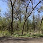 26605 Brooks Street  Wauconda IL 60084