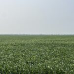 000 Baker Road Manhattan IL 60442