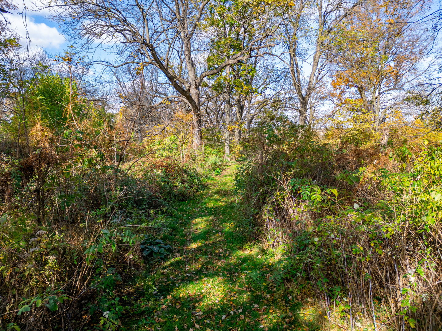 x North Boone School Road  Poplar Grove IL 61065