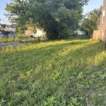 655 Lotus Avenue  Chicago IL 60644