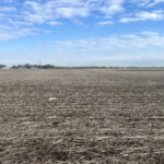 00 W Wilmington Peotone Road  Wilmington IL 60468