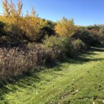 14067 Pratum Terra Drive  Wadsworth IL 60083