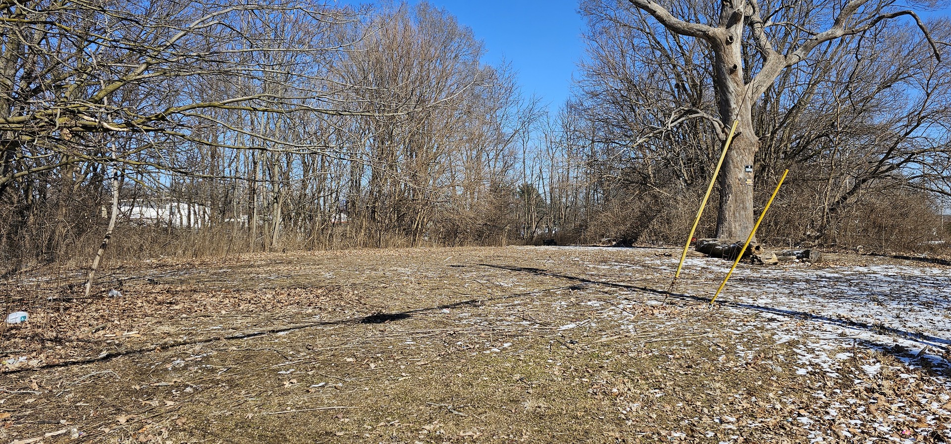 402 Griggs Street  Urbana IL 61801