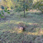 9/46 Woodhaven   Sublette IL 61367