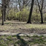 24863 Sterling Oaks Court  Shorewood IL 60404