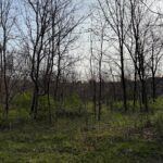 13 Hickory Trail Galena IL 61036