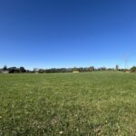 11441 Archer Avenue  Lemont IL 60439