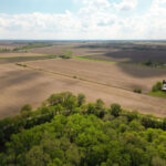 Lot 4 McArdle Road  Coal City IL 60416