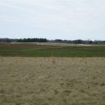 1480 LONGWOOD Drive  Woodstock IL 60098