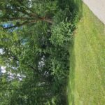 40472 Donald Drive Antioch IL 60002