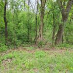 Lot4 Wisconsin Parkway  Delavan WI 53115