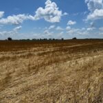 2000 County Road  Varna IL 61375