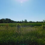 4535 14th Road  Earlville IL 60518