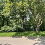 Lot 4 Manchester Avenue  Batavia IL 60510