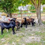 4215 Il Route 47   Woodstock IL 60098