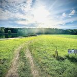 North Route 23 Highway  Streator IL 61364