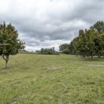 4215 Il Route 47   Woodstock IL 60098