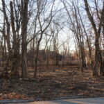 Lot 58 Timber Edge Drive  Morris IL 60450
