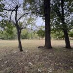 24-181 Woodhaven Lakes   Sublette IL 61367