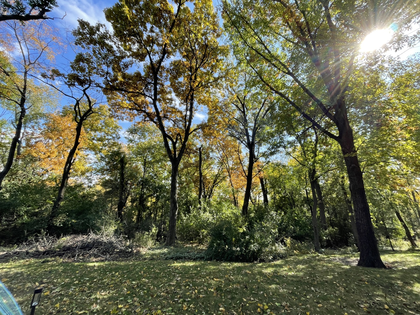 26767 Lakeview Drive Lake Barrington IL 60010 26767 Lakeview Drive Lake Barrington IL 60010