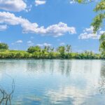 50 Moss Lake Drive  Farmer City IL 61842