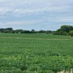 000 Butternut Road  Oregon IL 61061