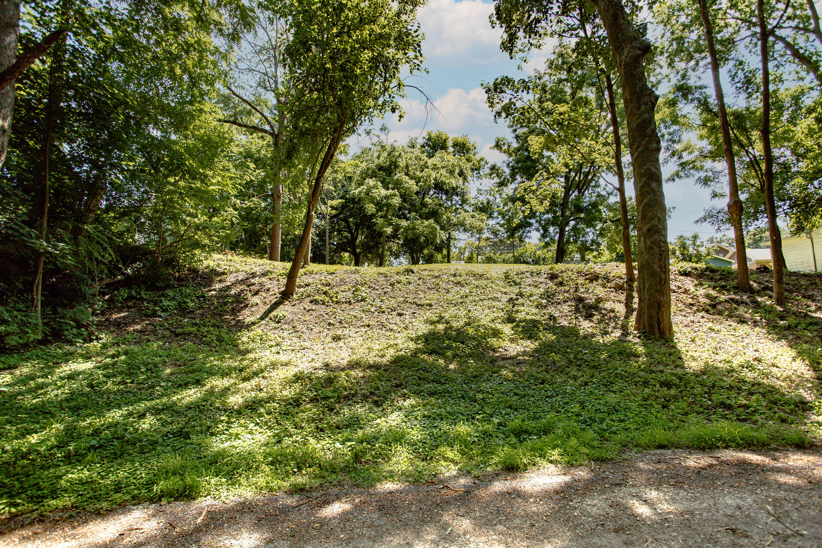 106 Hillsdale Road  Joliet IL 60433