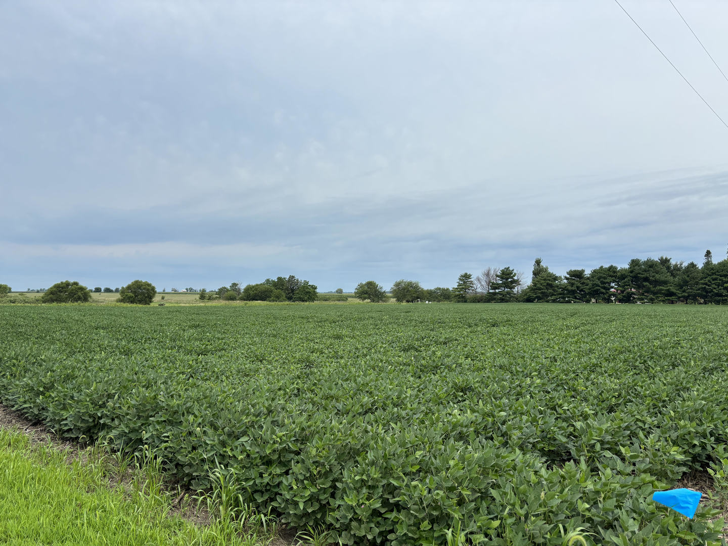 3355 County Road 400 E Road  Fisher IL 61843