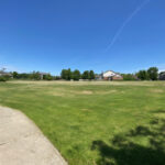 20147 White Tail Court  Elwood IL 60421