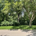 Lot 4 Manchester Avenue  Batavia IL 60510