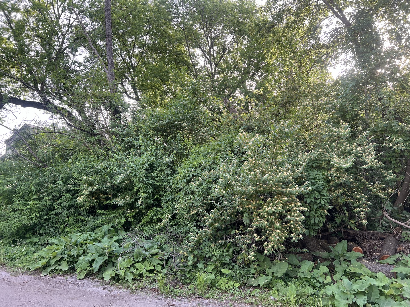 10401 Kenilworth Avenue  Algonquin IL 60102
