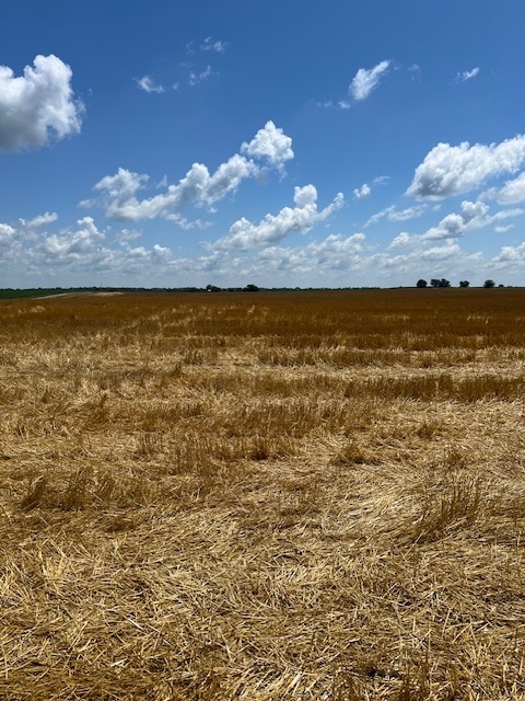 2000 County Road Varna IL 61375