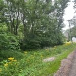 Lot 9-13 Hickory Avenue  Wilmington IL 60481