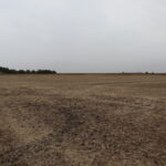 21111 550 Street  Sheffield IL 61361