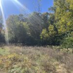 211 Norfolk Way  Essex IL 60935
