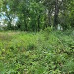 25570 High Street  Wauconda IL 60084