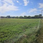 23700 Getson Avenue  Plainfield IL 60544