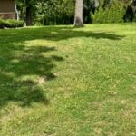 37 Cambridge Drive  Oak Brook IL 60523