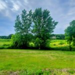 4378 John Milton Road  Elgin IL 60124
