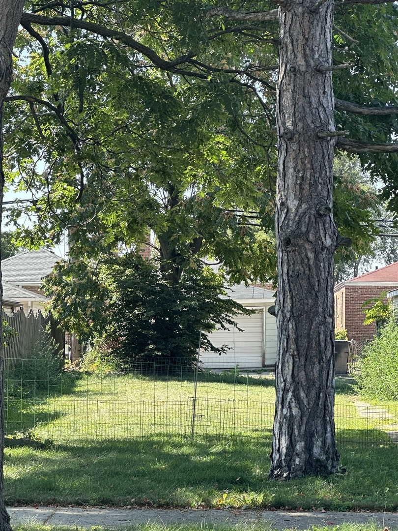 8724 Euclid Avenue  Chicago IL 60617