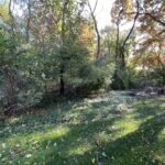 26767 Lakeview Drive Lake Barrington IL 60010