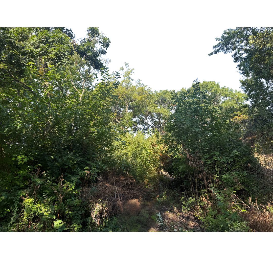 2905 Rose Marie Drive  Wonder Lake IL 60097