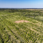 Tract 5 East Radio Tower Road  Clay City IL 62824