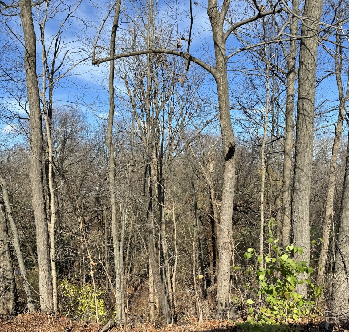 10420 Pickford Avenue  Beach Park IL 60099