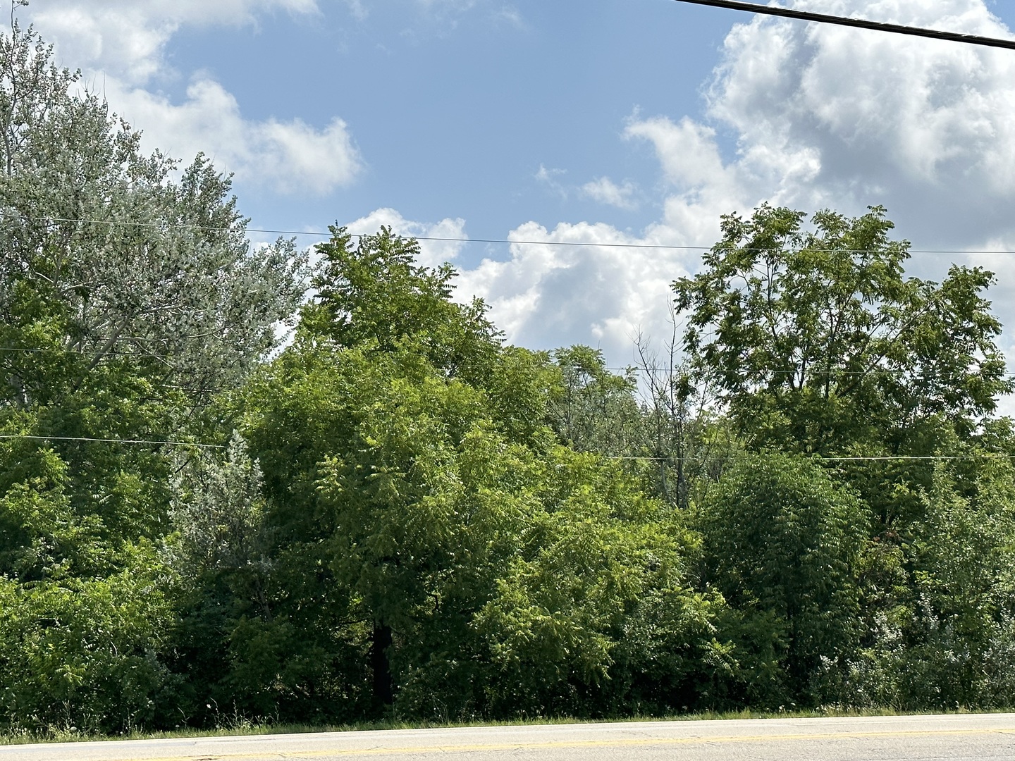 14463 Bell Road  Homer Glen IL 60491
