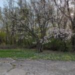 582 Dresser Road DeKalb IL 60115