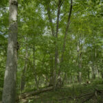 4820 Kopper Pond Road  Hanover IL 61041